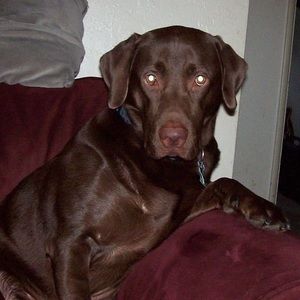 Meet your Posher, Mary